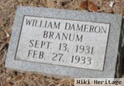 Walter Dameron Branum