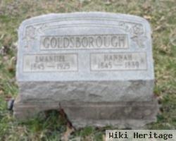 Hannah Newton Goldsborough