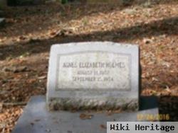 Agnes Elizabeth Griffin Holmes