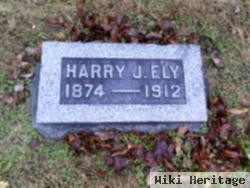 Harry J Ely