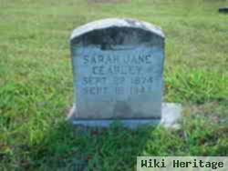 Sarah Jane Voyles Cearley