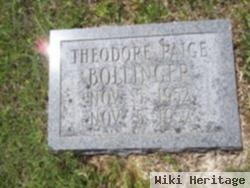 Theodore Paige Bollinger