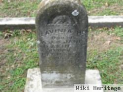 Lavinia H Akin