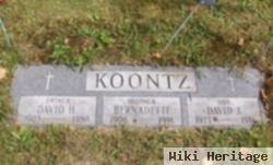 David H. "moon" Koontz