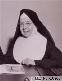 Sr Rose Of Lima Dolan