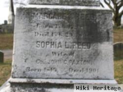 Sophia L Reed Paxton