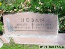 Anthony Hoban