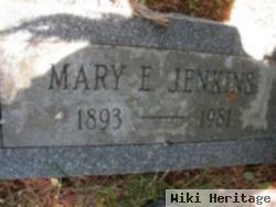 Mary E Jenkins