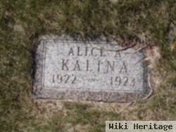 Alice A Kalina