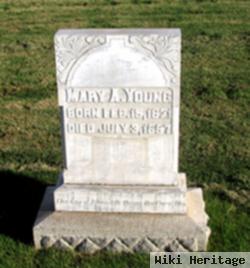 Mary Ann "polly" Vaughn Young