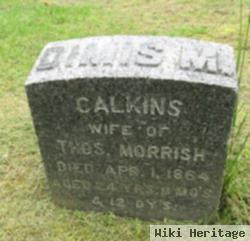 Dimis M Calkins Morrish