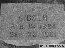 William C. Gibson