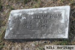 James William Palm