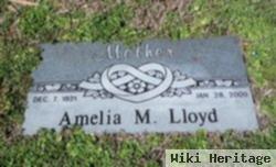 Amelia M Lloyd