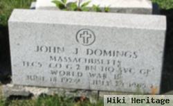 John J Domings