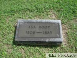 Asa Root