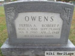 Robert Patterson "bob" Owens