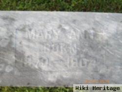 Mary Ann Haycock Dorn