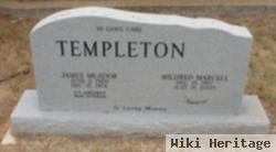 James M Templeton