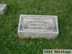 Alexander Harvey Burns