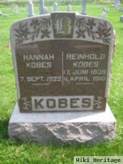 Hannah Kobes