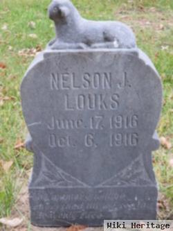 Nelson J. Louks