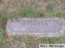 Ann M Messner