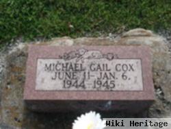 Michael Gail Cox