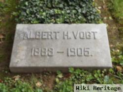 Albert H Vogt