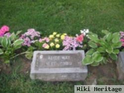 Alice G. Hotchkiss Vernon