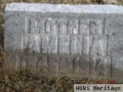 Wilhelmina Sybilla "amelia" M Yer Kolts