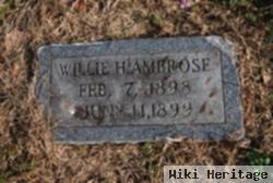 Willie H Ambrose