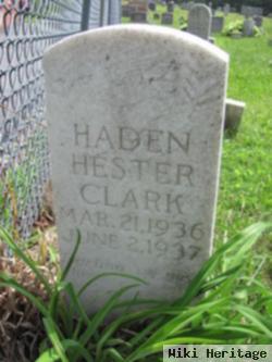 Haden Hester Clark