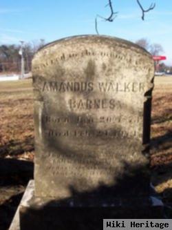 Amandus Walker Barnes