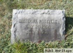 Theodore Rosevelt