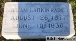 William Larkin Radney