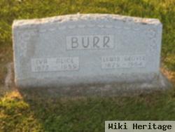 Lewis Grover Burr