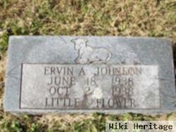 Ervin A. Johnson