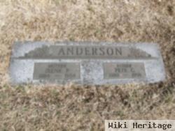 Pete G. Anderson