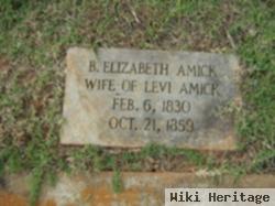 Sarah Bathesda Elizabeth Luther Amick