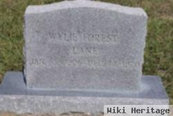 Wiley Forest Lane