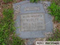 Mark Winfred Worley