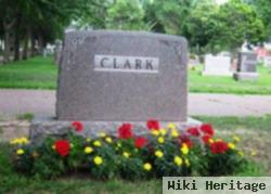 Steven W Clark