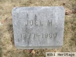 Joel M Stearns