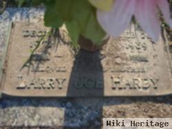 Larry Joe Hardy