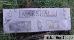 William T Marshall