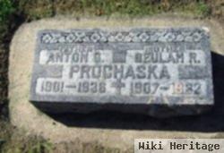 Anton G Prochaska