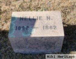 Nellie N Haskell