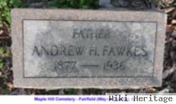 Andrew H Fawkes
