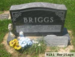 Larry Wayne Briggs